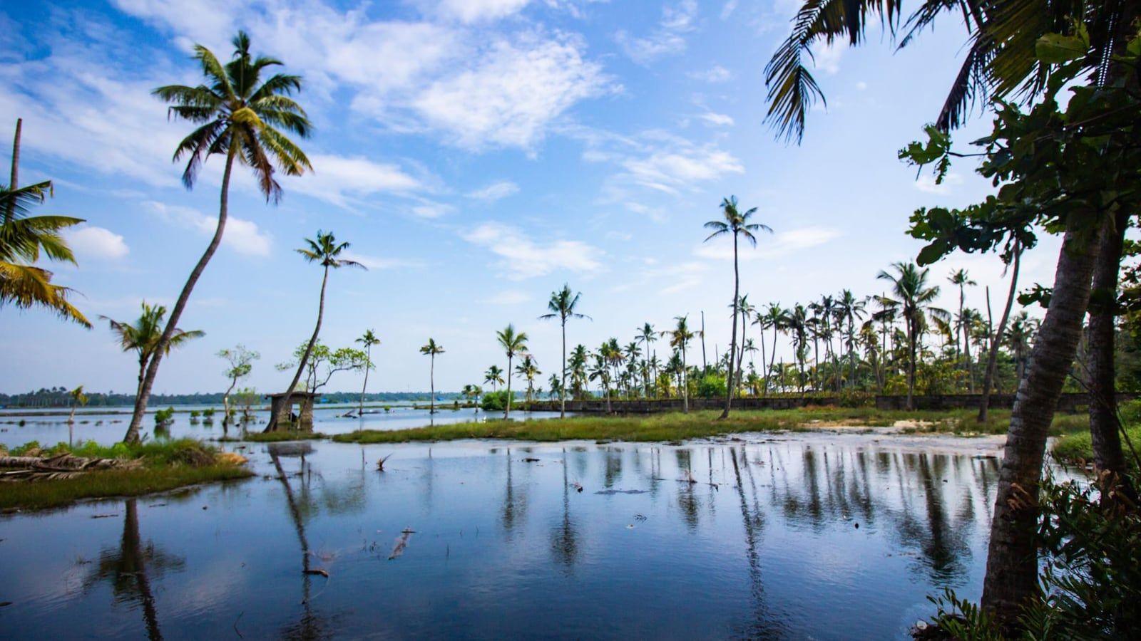 A lagoon with coconut palms, Kerala